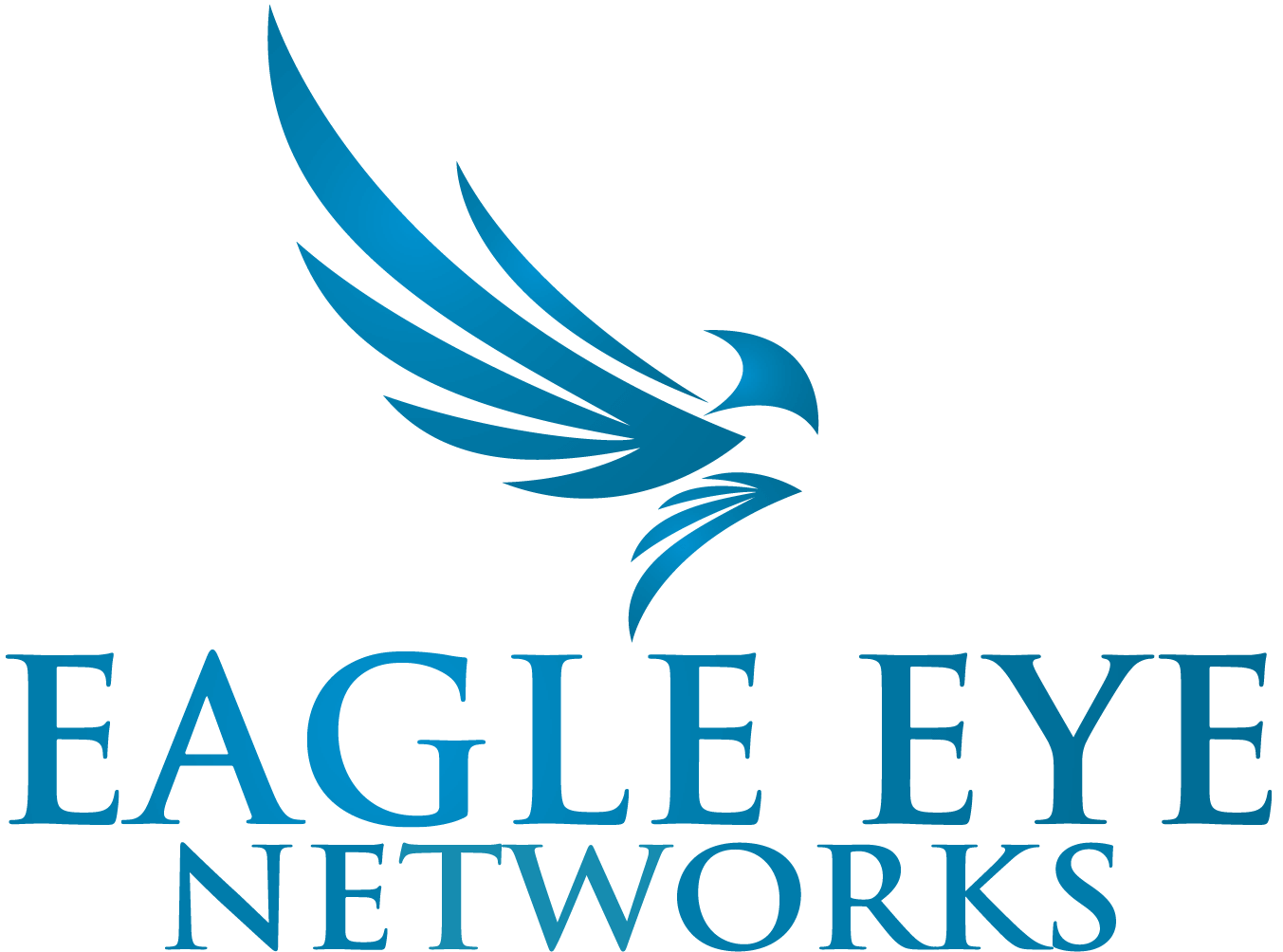Eagle Eye Networks logo