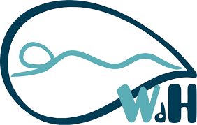 Web del Hidromasaje logo