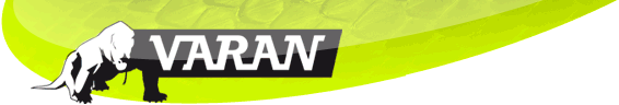 VARAN MOTORS logo
