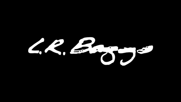 LR Baggs logo