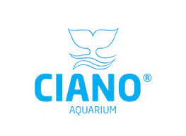 Ciano logo