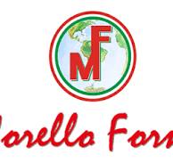 MORELLO FORNI logo