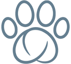 sureflap logo