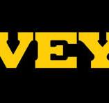 ECOSALT DAVEY logo