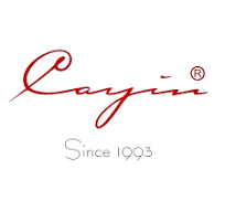 Cayin logo
