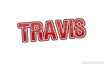 Travis logo