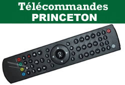 Princeton logo