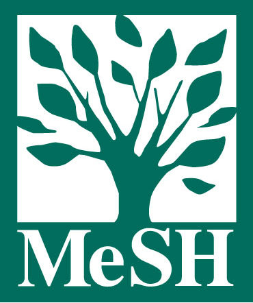 mesh logo