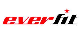 Everfit logo