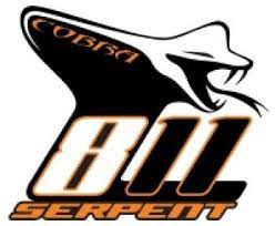 Serpent logo