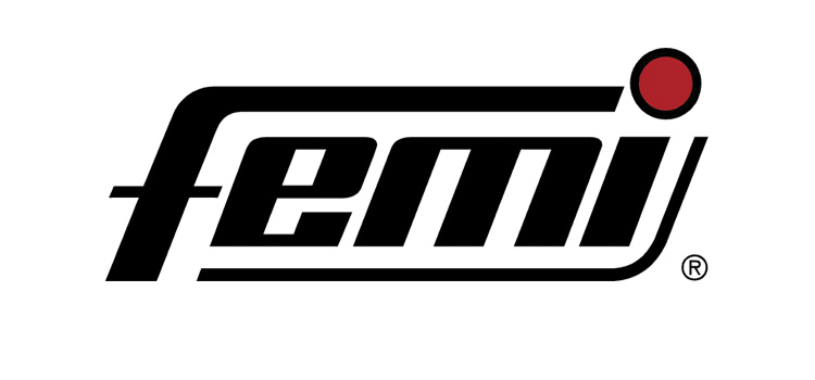 Femi logo