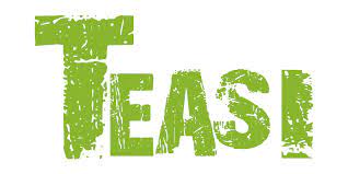 TEASI logo