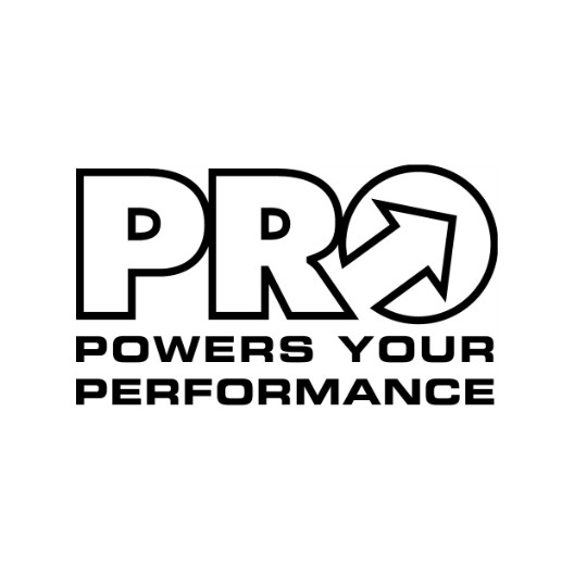 PRO logo