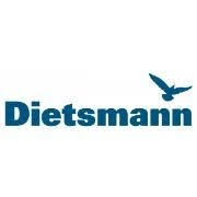 dietsmann logo