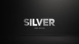 Silver logo