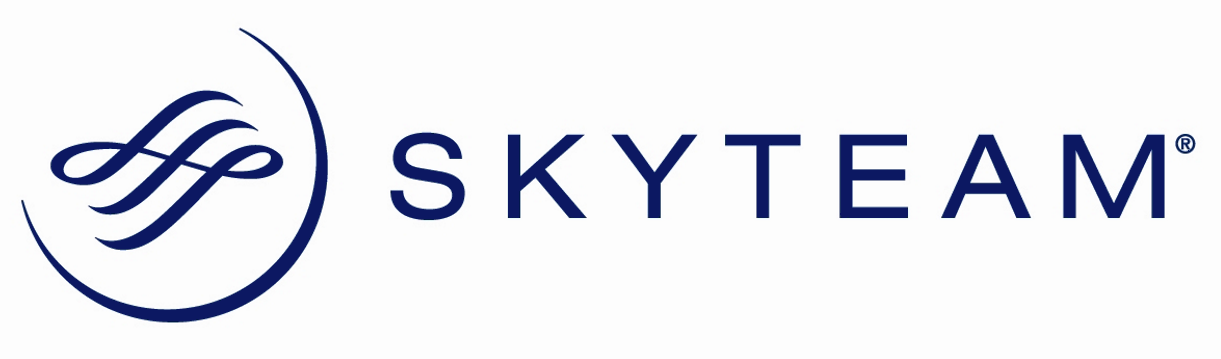 Skyteam logo