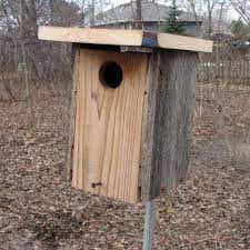 Cajas Nido Nest Boxes logo