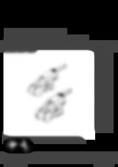 AKS 3004
