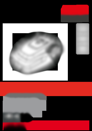 Robolinho 100