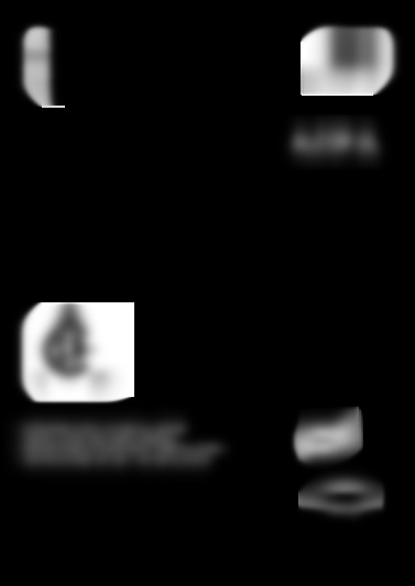 BFT