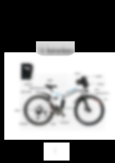 E-bike