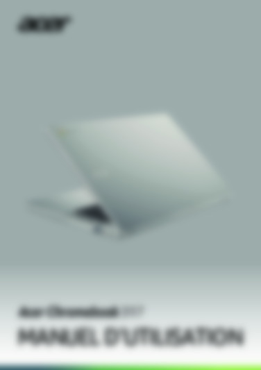 chromebook 317