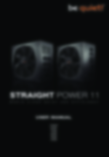 Straight Power 11 FM 1000 W