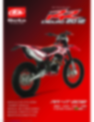 Beta 350 RR-enduro