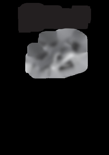 BFB-1300-T