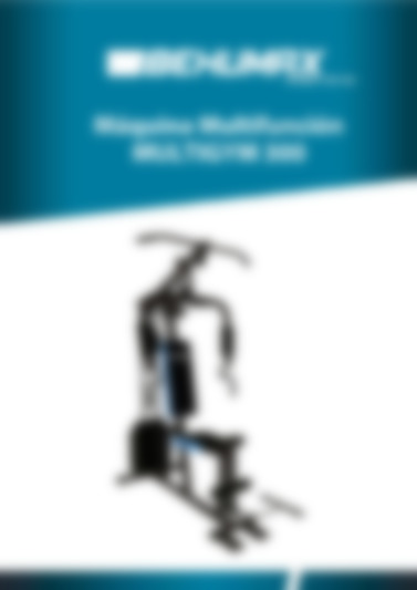 Multigym 300