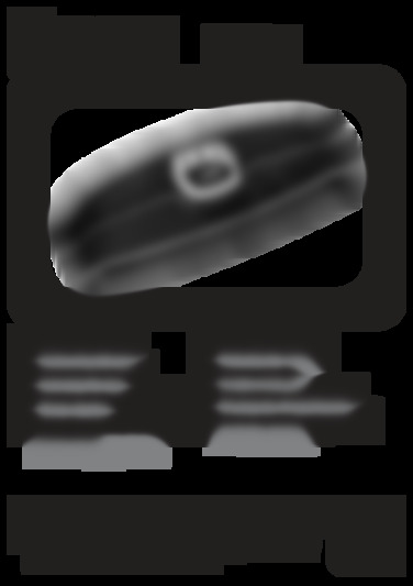 em 35
