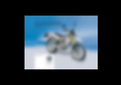 Motorrad G 450 X 2010
