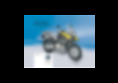 R 1200 GS Adventure 2010