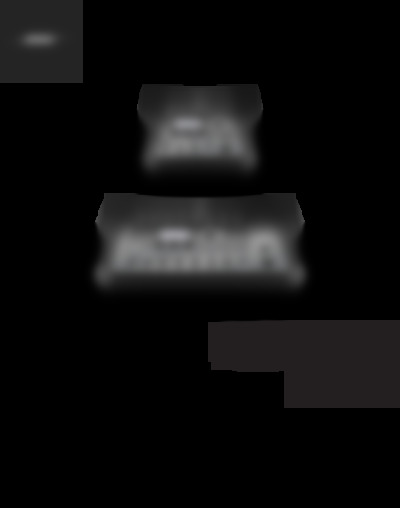 T4S