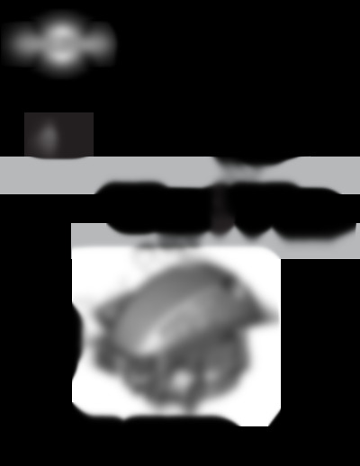 550