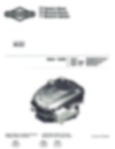 Briggs-Stratton-825