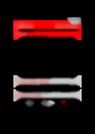 Duo Plus