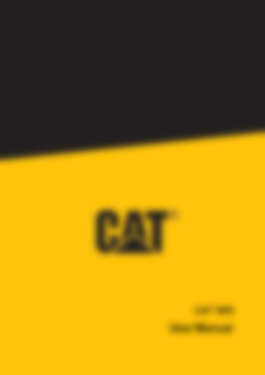 cat b40
