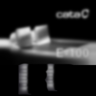 E 100