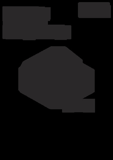 se-s100