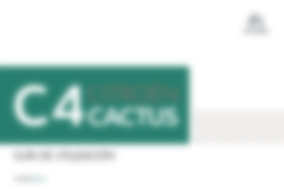 C4 Cactus 2020