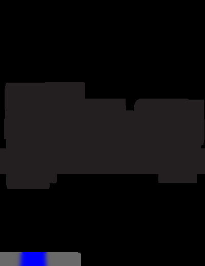 berlingo