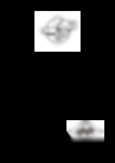 Aeterna