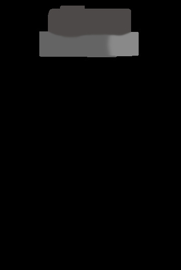 MINI 2