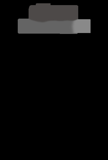 MINI 2