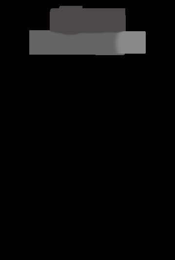 Mini SE