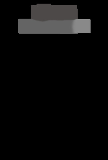 Mini SE