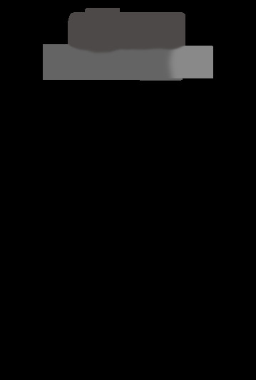 Mini 2