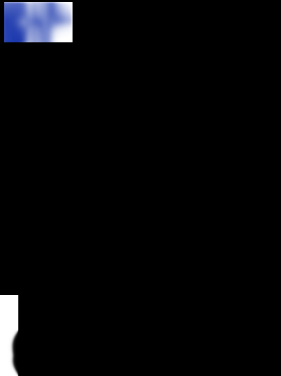 DS-ID400