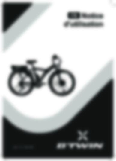 BTWIN elops 500 e